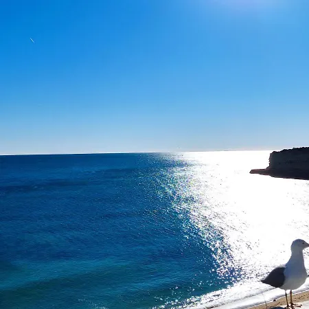 아파트 01 Sra Da Rocha Com Piscina E Ac - Casas & Papeis *