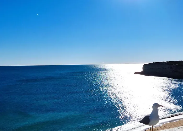 Διαμέρισμα 01 Sra Da Rocha Com Piscina E Ac - Casas & Papeis *